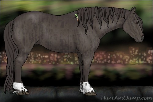 Horse Color:Smoky Black  and Smoky Black 