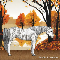 Horse Color:Grullo Sabino Splash  and Grullo Sabino Splash 