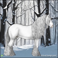 Horse Color:Grullo Sabino Splash  and Gray Grullo Sabino Splash 
