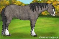 Horse Color:Grullo Sabino Splash  and Grullo Sabino Splash 