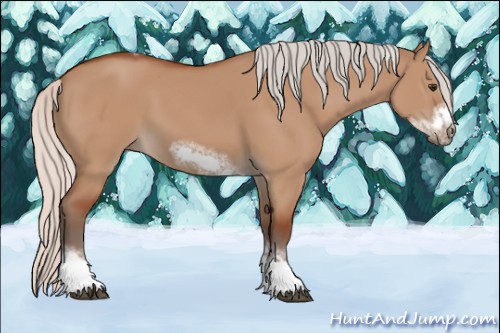 Horse Color:Silver Bay Dun Sabino Tobiano Frame Rabicano 