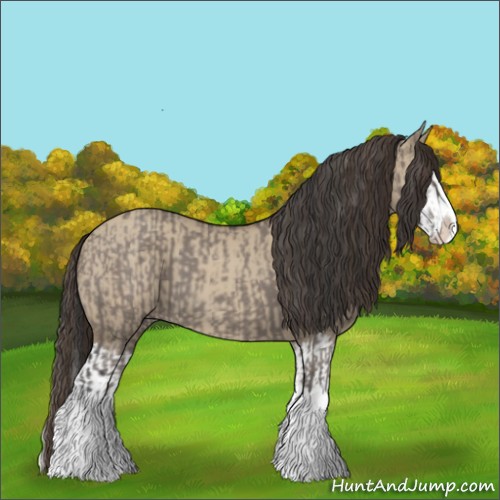 Horse Color:Grullo Sabino Splash and Classic Champagne Dun Sabino Splash