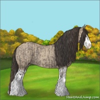 Horse Color:Grullo Sabino Splash  and Classic Champagne Dun Sabino Splash 