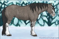 Horse Color:Grullo Sabino Splash  and Grullo Sabino Splash 