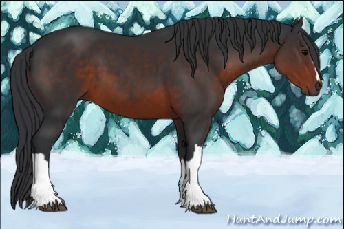 Horse Color:Brown 