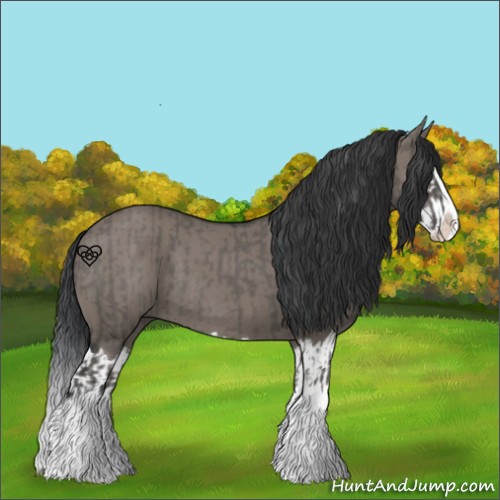 Horse Color:Grullo Sabino Splash  and Grullo Sabino Splash Rabicano 