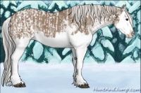 Horse Color:Grullo Sabino Splash  and Silver Grullo Sabino Splash 