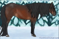 Horse Color:Brown 