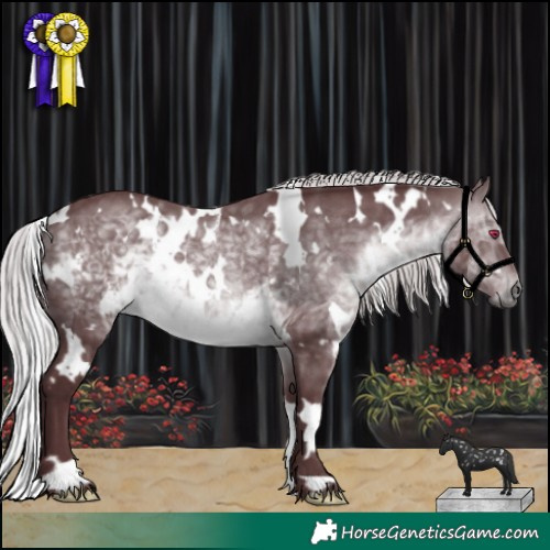 Horse Color:White Spotted Chocolate Silver Brown Chinchilla Mushroom
