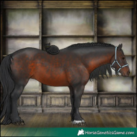 Horse Color:Brown 