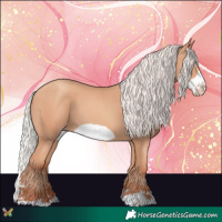 Horse Color:Silver Amber Champagne Frame 