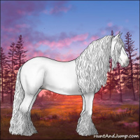 Horse Color:Gray Liver Chestnut 