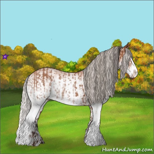 Horse Color:White Spotted Bay Splash  and White Spotted Silver Bay Splash 