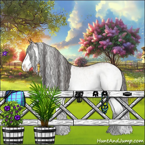 Horse Color:White Spotted Bay Splash  and White Spotted Bay Splash 