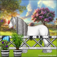 Horse Color:White Spotted Bay Splash  and White Spotted Bay Splash 