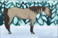 Horse Color:Smoky Grullo 