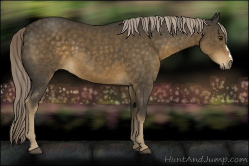 Horse Color:Chocolate Palomino 
