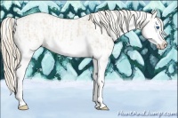 Horse Color:Smoky Creme Dun Sabino Splash  and Perlino Dun Sabino Splash 