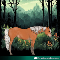 Horse Color:Silver Bay 