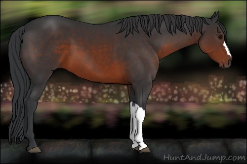 Horse Color:Brown 