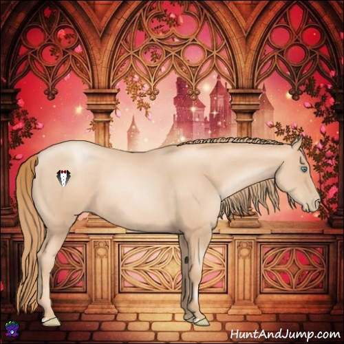 Horse Color:Gold Champagne Pearl Rabicano and Gold Champagne Pearl