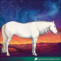 Horse Color:Perlino Dun Tobiano 