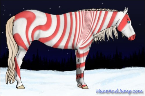 Horse Color:Perlino Dun Tobiano 