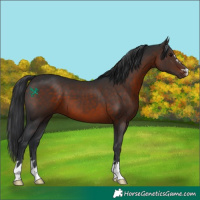 Horse Color:Brown 