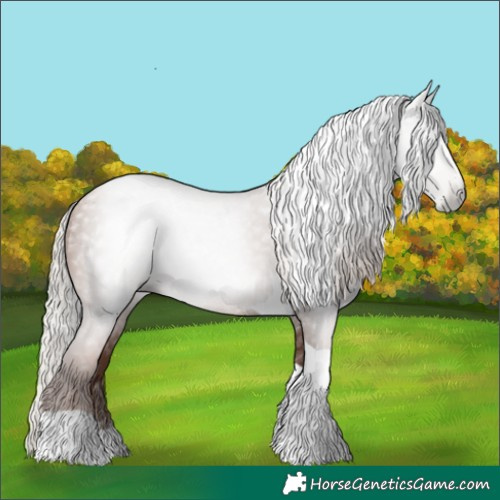 Horse Color:Gray Silver Black Pearl Tobiano 