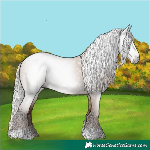 Horse Color:Gray Silver Grullo Pearl Tobiano 
