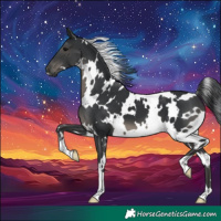 Horse Color:White Spotted Black