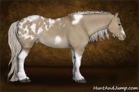 Horse Color:Silver Smoky Grullo Tobiano Frame Appaloosa