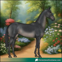 Horse Color:Black 