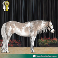 Horse Color:White Spotted Silver Brown Dun Sabino Splash Rabicano 