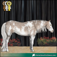 Horse Color:White Spotted Silver Brown Dun Sabino Splash Rabicano 