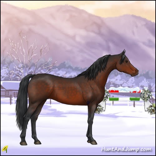 Horse Color:Brown 