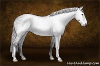 Horse Color:Gray Black
