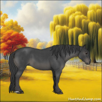 Horse Color:Blue Roan 