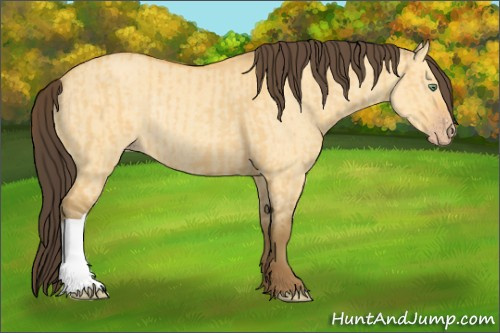 Horse Color:Amber Cream Champagne Dun  and Amber Cream Champagne Dun Rabicano 