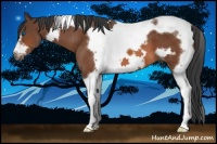 Horse Color:Bay Tobiano Frame 