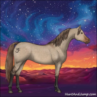 Horse Color:Liver Red Dun 