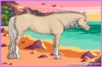 Horse Color:Silver Classic Champagne Dun Splash Frame