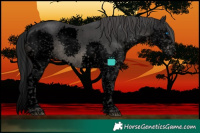 Horse Color:Void Platinum Black Sabino Splash Tobiano 