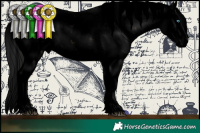 Horse Color:Void Brown Sabino Splash
