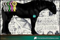 Horse Color:Void Brown Sabino Splash