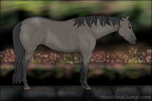 Horse Color:Unknown 