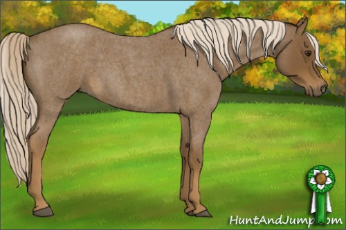 Horse Color:Chocolate Palomino Roan