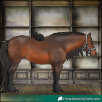 Horse Color:Brown 