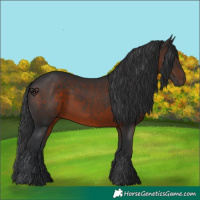 Horse Color:Brown 