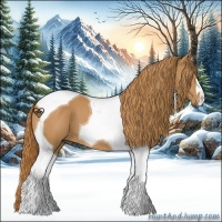 Horse Color:Chestnut Tobiano 